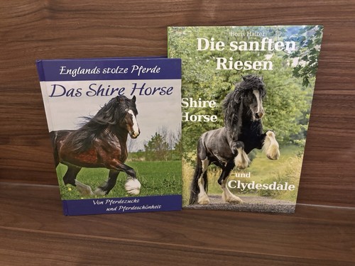 Buch boris halter die - 2x,