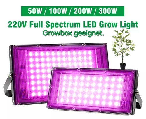 Günstigester 300 watt - 300,
