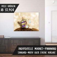 Bedruckte Magnetpinnwand Eisenfolie Whiteboard Magnetwand Motiv Katze