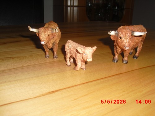 Schleich hochlandrind kalb - ,