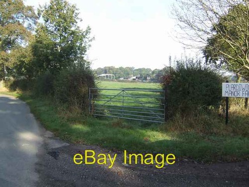 Foto 6x4 milchweide - 6x4,