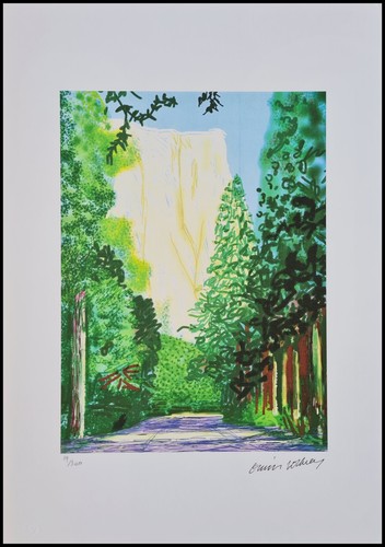 David hockney yosemite - david, *