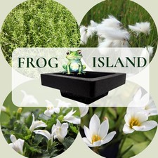 Wasserpflanzen Wolff