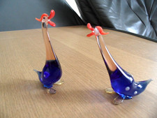 hübsche Gänse-Enten Paar