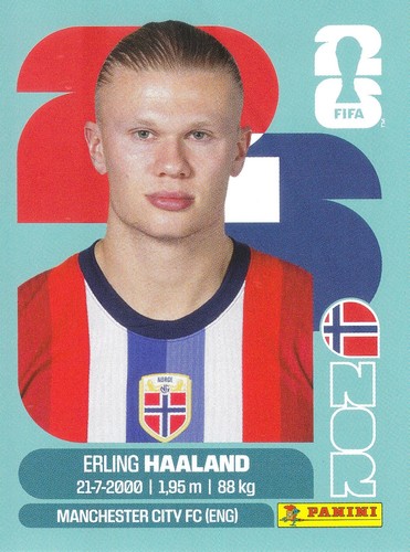 Erling haaland stürmer - erling,