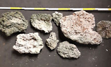 Aquariumdekoration Korallenstein Lochstein