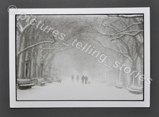 Bruce Davidson Ltd. Edition