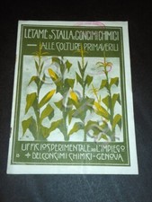 Stallmist und Chemischer