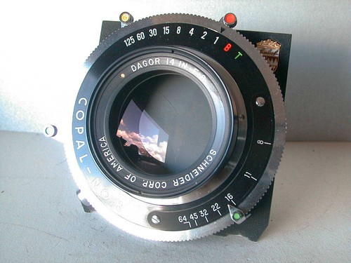 Gold dot dagor inch - gold, 14