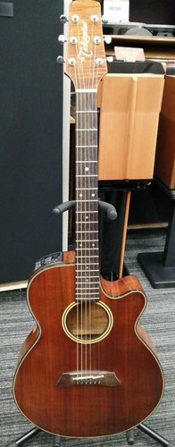 Takamine eleaco 108 - takamine, l3-108