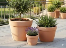 Pflanzkübel,konisch,Rand,Blum