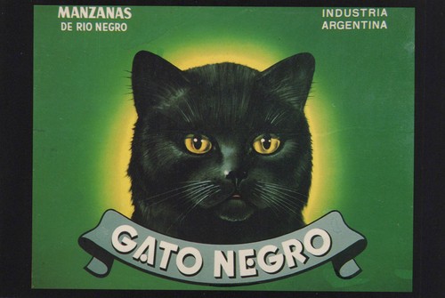 Gato negro katze reklame - negro,