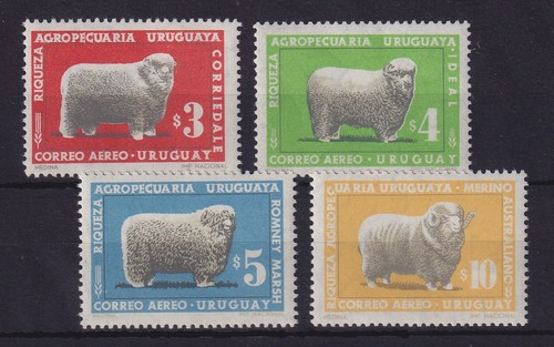 Uruguay 1967 schafe - uruguay, schafzucht