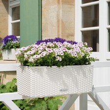 Lechuza 'Balconera Cottage 50'