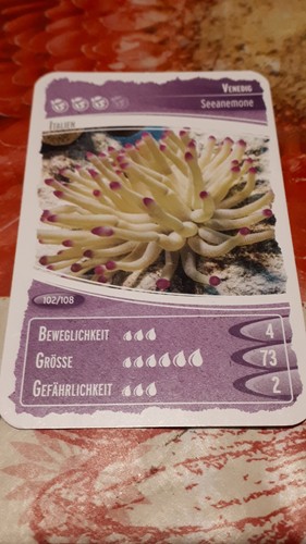 Ozeanien schätze unseres - ozeanien,