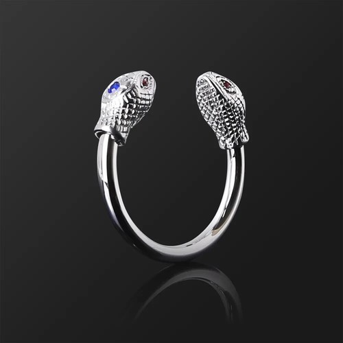 Penis ring cock - penis,
