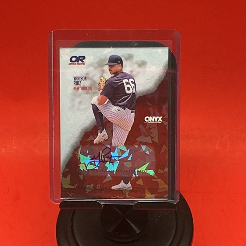 2024 onyx authenticated - 2024,