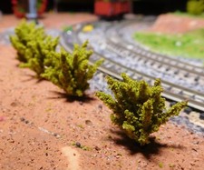 10 dunkelgelbgrüne Büsche