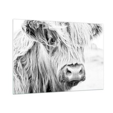 Wandbilder 100x70cm Glasbild