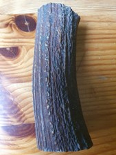 Geweihteile Geweihrollen Abwurfstangen Hirschhorn  Knochen Griffschalen Basteln