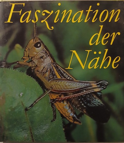 Faszination der nähe - faszination,