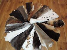 Premium Rex Kaninchen Felle