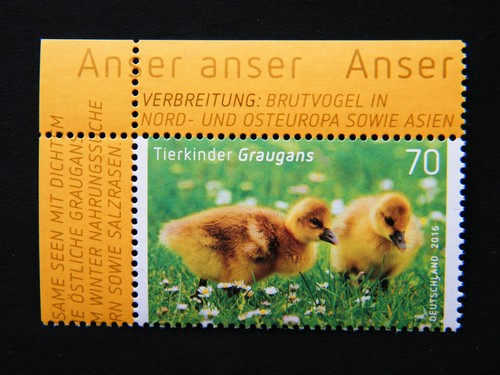 Brd minr 3218 tierkinder - minr,