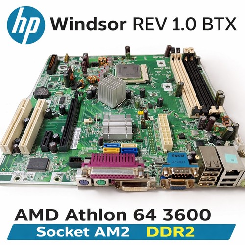 Windsor am2 sempron 3600 - windsor,