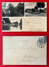 AK BLÜTHEN Priegnitz 1904