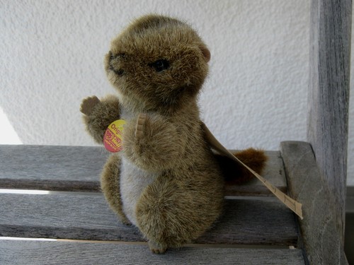 Steiff 1476 murmeltier piff - steiff, 1476/12