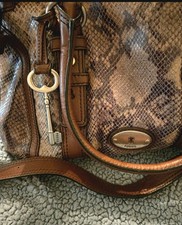 Fossil women maddox snake - fossil,