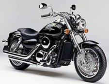 Kawasaki Vulcan  VN 1600 MEAN