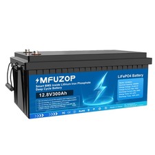 Lithium Batterie 12V 300Ah