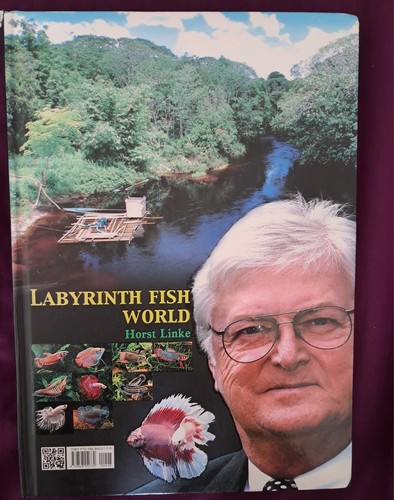 Horst linke labyrinth fish - horst,