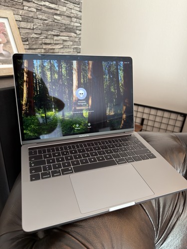 Apple macbook pro zoll - 13,3,