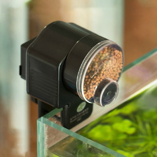 Futterautomat aquarium - futterautomat,