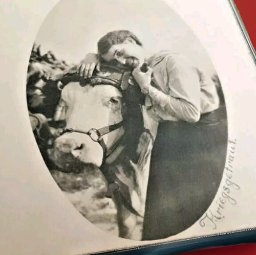 Echtfoto feldpostkarte 1917 - echtfoto,