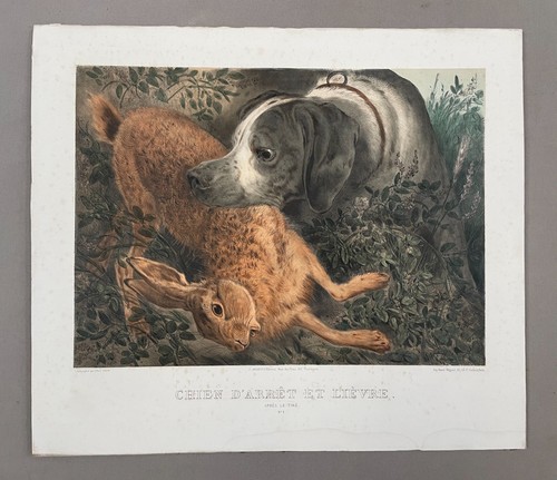 Sperrhund und hase - und,