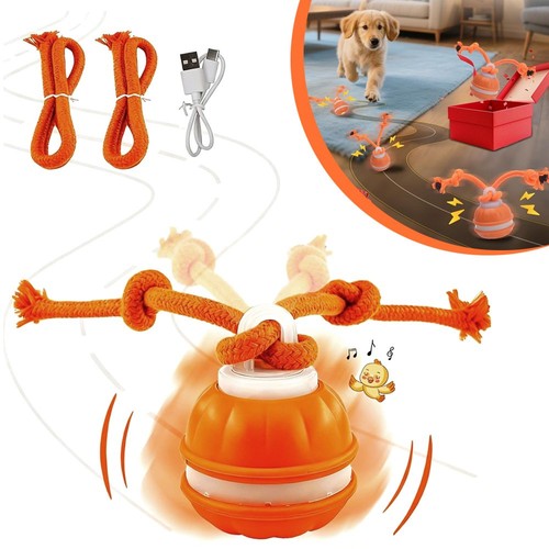 Hundeball hundespielzeug - hundeball,