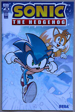 Sonic the Hedgehog Annual 2024 A - IDW Publishing - Ian Flynn - T Rothlisberger