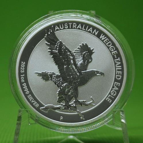 2023 australien wedge tailed - 2023,