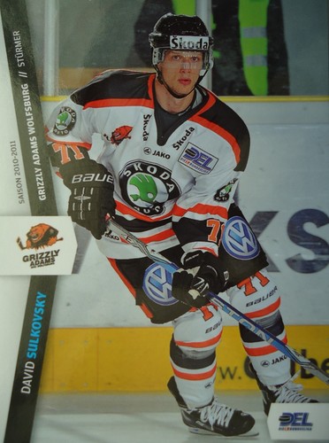 300 david sulkovsky - 300,