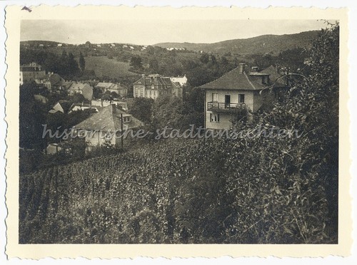 Wien grinzing 1939 weinberge - wien-grinzing,