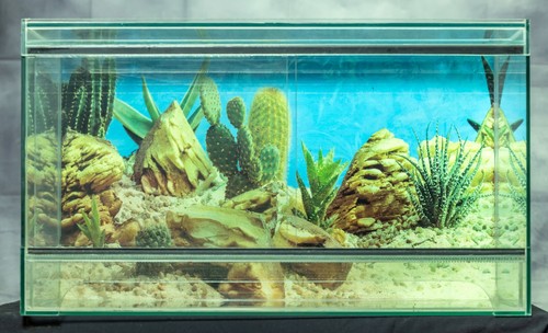 Glas terrarium 35x60x32cm mit - 35x60x32cm,