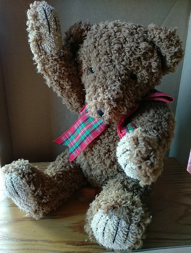 Sunkid teddy bär cm - 39,