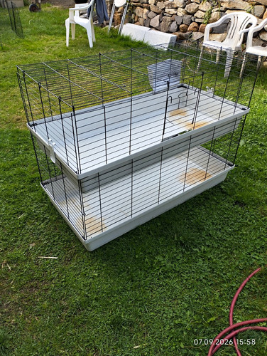 Käfig für meerschweinchen - für,