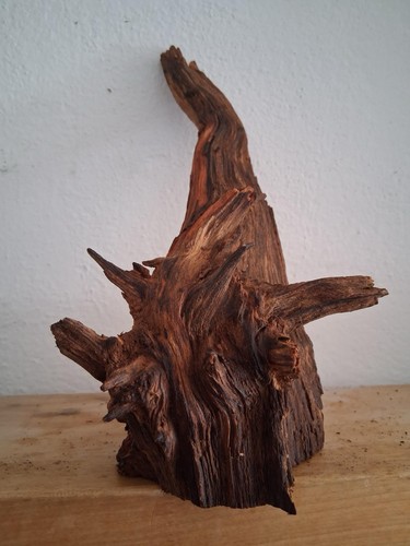 Rustikale wurzelholz skulptur - rustikale,