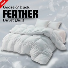 Gänse und entenfedern - und,
