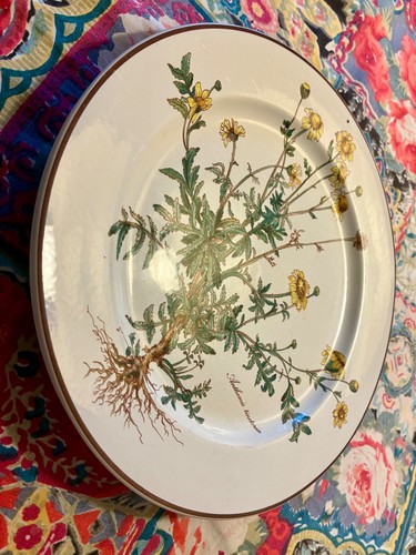 Villeroy boch botanica teller - boch,