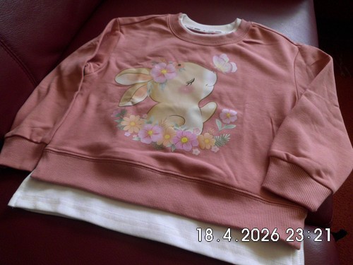 Shirt/Pulli,Neuwertig,,Größe